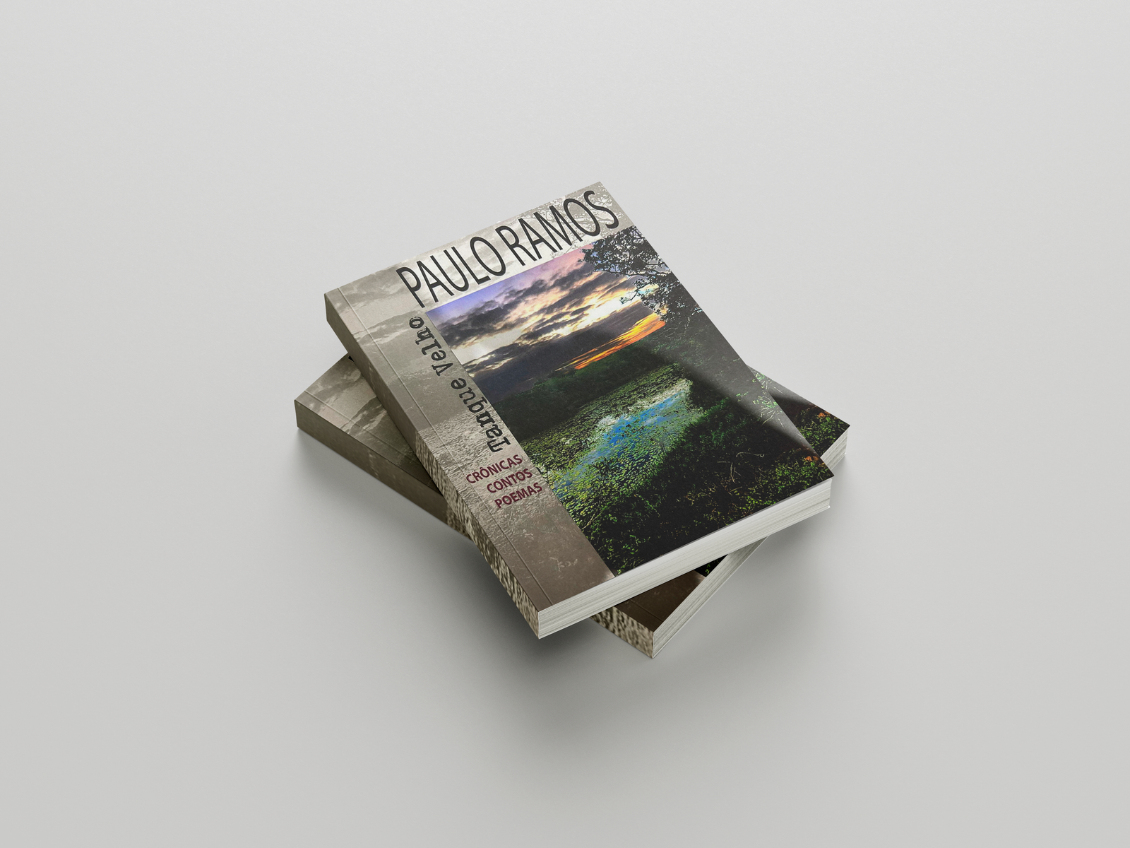 Livro Tanque Velho, de Paulo Roberto Ramos